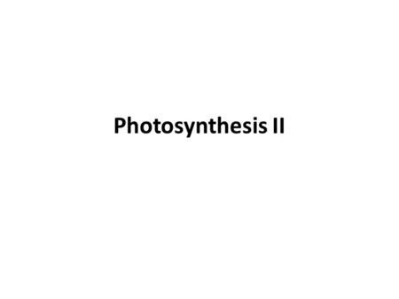 Photosynthesis II.