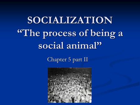 SOCIALIZATION The process of being a social animal Chapter 5 part II.