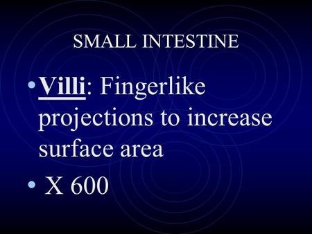 SMALL INTESTINE Villi: Fingerlike projections to increase surface area X 600.