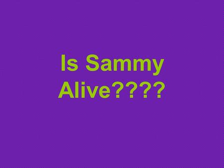 Is Sammy Alive????.