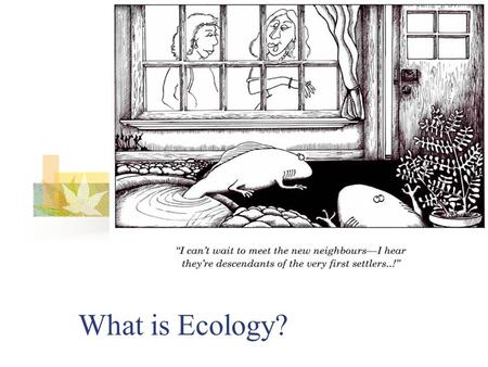 What is Ecology?. Origin of the word…ecology Greek origin OIKOS = household LOGOS = study of… Study of the house/environment in which we live.