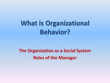 What is Organizational Behavior?