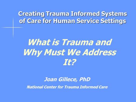 Creating Trauma Informed Systems of Care for Human Service Settings