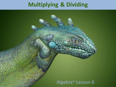 Multiplying & Dividing Algebra~ Lesson 6 Remember Addition and Subtraction? Kinda the same idea…
