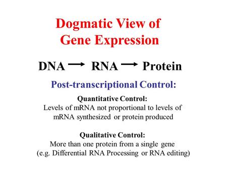 Dogmatic View of Gene Expression DNAProteinRNA Post-transcriptional Control: Quantitative Control: Levels of mRNA not proportional to levels of mRNA synthesized.