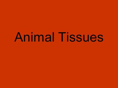 Animal Tissues.