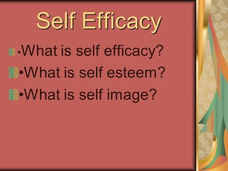 Self Efficacy What is self efficacy? What is self esteem? What is self image?
