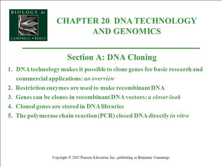 CHAPTER 20 DNA TECHNOLOGY AND GENOMICS