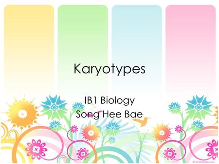 Karyotypes IB1 Biology Song Hee Bae. Karyotypes Karyotype: the number and appearance of the chromosomes in an organism. Karyotype is always found in a.