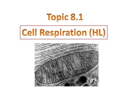 Topic 8.1 Cell Respiration (HL).