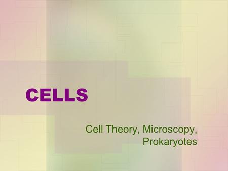 Cell Theory, Microscopy, Prokaryotes
