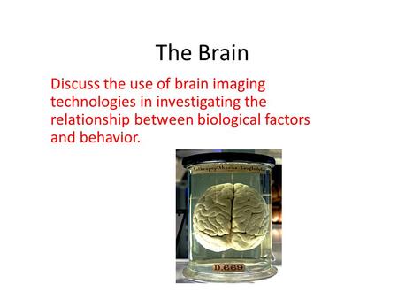 The Brain Discuss the use of brain imaging technologies in investigating the relationship between biological factors and behavior.