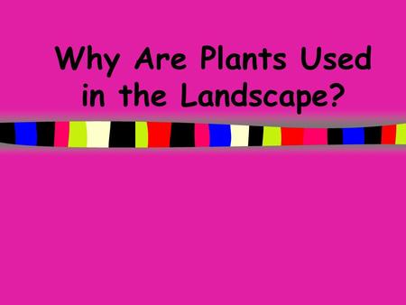 Why Are Plants Used in the Landscape? Todays Objectives Describe the functional roles of plants in the landscape. Discuss the functional uses of plants.