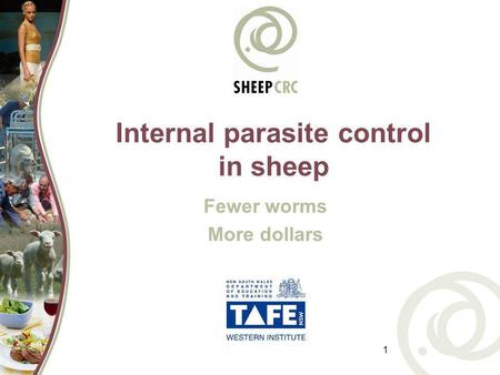 Internal parasite control in sheep