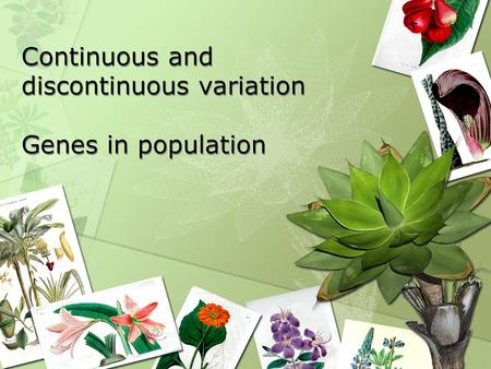 Continuous and discontinuous variation Genes in population