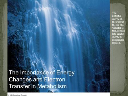 The Importance of Energy Changes and Electron Transfer in Metabolism