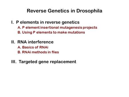 Reverse Genetics in Drosophila