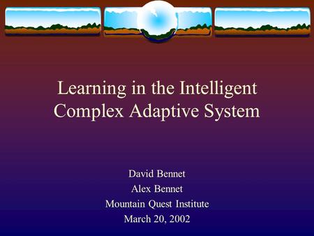 Learning in the Intelligent Complex Adaptive System David Bennet Alex Bennet Mountain Quest Institute March 20, 2002.