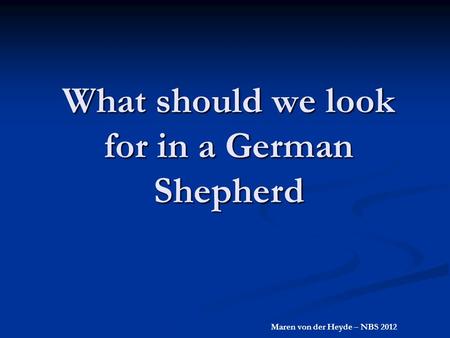 What should we look for in a German Shepherd