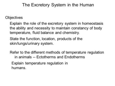 The Excretory System in the Human