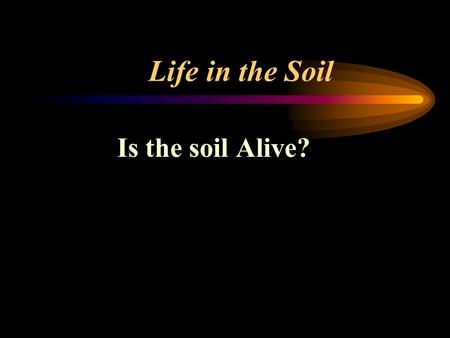 Life in the Soil Is the soil Alive? Life in the Soil ¼ teaspoon of fertile soil contains –50 nematodes –52,000 algae –72000 amoebae –111,000 fungi –2,920,000.
