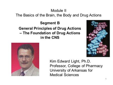 Module II The Basics of the Brain, the Body and Drug Actions
