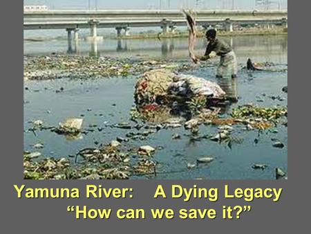 Yamuna River: A Dying Legacy “How can we save it?”