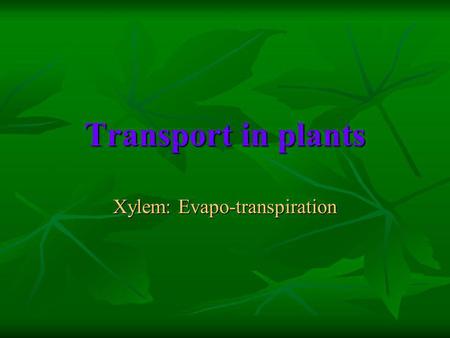 Xylem: Evapo-transpiration