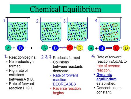 Chemical Equilibrium A B + A + C + B D A + B C + D 1. 4.