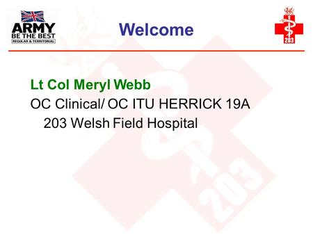 Welcome Lt Col Meryl Webb OC Clinical/ OC ITU HERRICK 19A