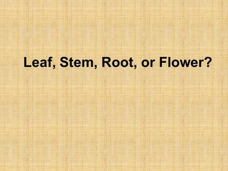 Leaf, Stem, Root, or Flower?