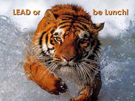 Lead or be lunch! LEAD or be Lunch!. Lead or be lunch! Our new team motto … This will be the motto driving our team for the months and years ahead All.