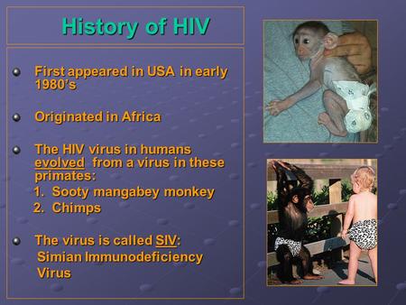 History of HIV First appeared in USA in early 1980’s