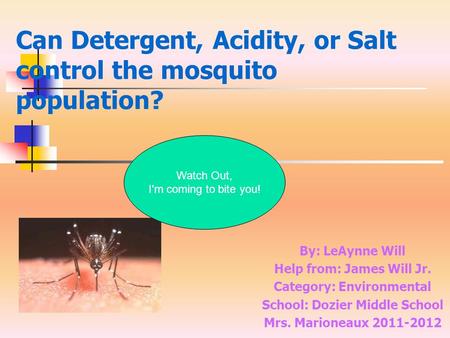 Can Detergent, Acidity, or Salt control the mosquito population?