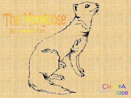 The Mongoose By Hee-Yon Class 4A 2008.