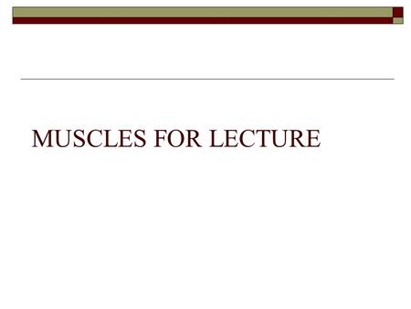 MUSCLES FOR LECTURE.