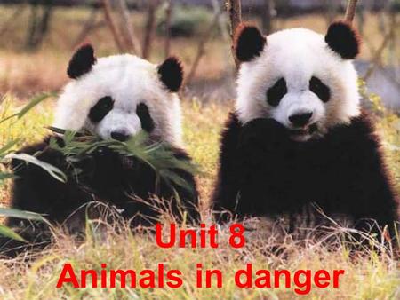Unit 8 Animals in danger. W____ Zhenhui and her c_____ were playing at their grandmothers house one day,they s______ heard a loud c____ at the window.They.