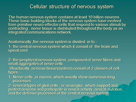Cellular structure of nervous system