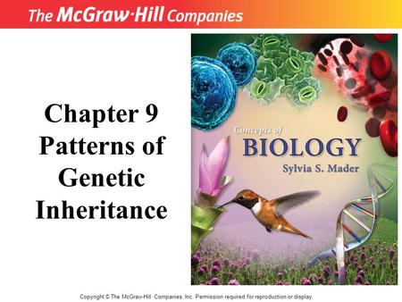 Patterns of Genetic Inheritance