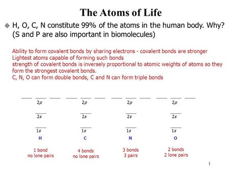 1 The Atoms of Life H, O, C, N constitute 99% of the atoms in the human body. Why? ( S and P are also important in biomolecules) Ability to form covalent.