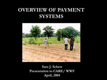 OVERVIEW OF PAYMENT SYSTEMS Sara J. Scherr Presentation to CARE/ WWF April, 2004.