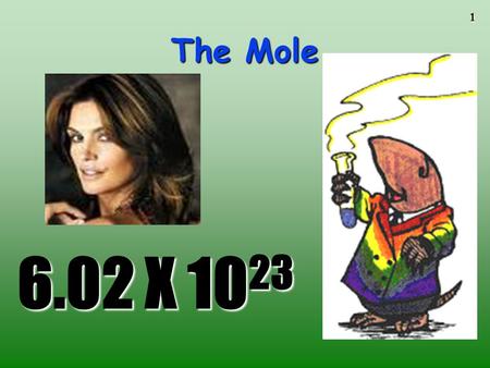 The Mole To play the movies and simulations included, view the presentation in Slide Show Mode. 6.02 X 1023.