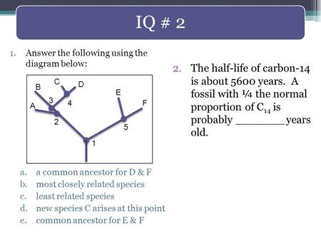IQ # 2 Answer the following using the  diagram below: