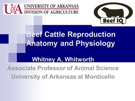 Beef Cattle Reproduction Anatomy and Physiology