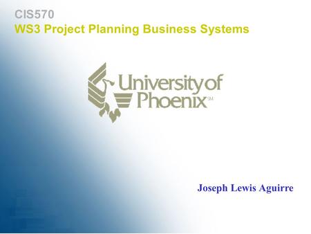 WS3 Project Planning Business Systems