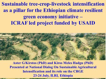 Sustainable tree-crop-livestock intensification as a pillar for the Ethiopian climate resilient green economy initiative – ICRAF led project funded by.
