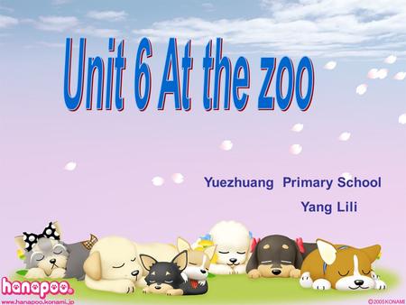 Yuezhuang Primary School Yang Lili Its a _______.panda.