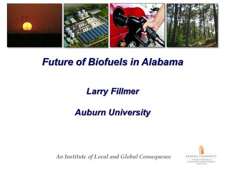 An Institute of Local and Global Consequence Future of Biofuels in Alabama Larry Fillmer Auburn University.