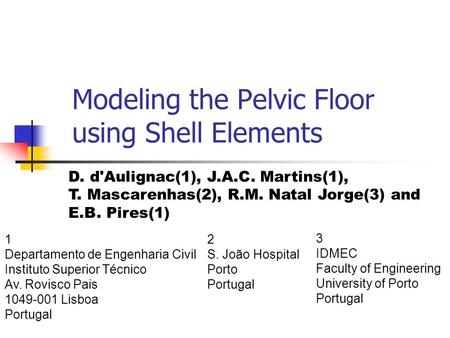 Modeling the Pelvic Floor using Shell Elements 1 Departamento de Engenharia Civil Instituto Superior Técnico Av. Rovisco Pais 1049-001 Lisboa Portugal.