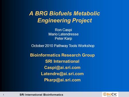 SRI International Bioinformatics 1 A BRG Biofuels Metabolic Engineering Project Bioinformatics Research Group SRI International